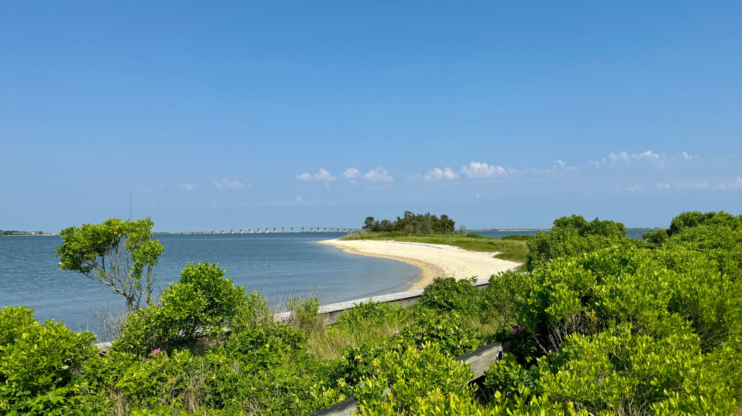 Hampton Bays