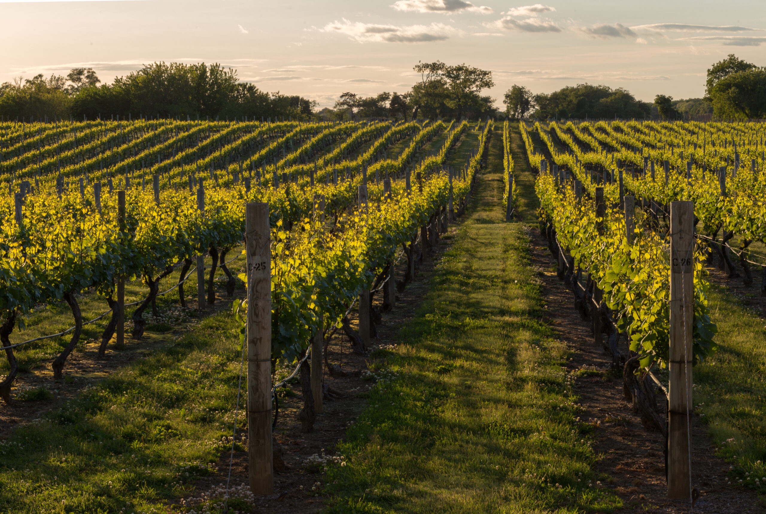 North Fork