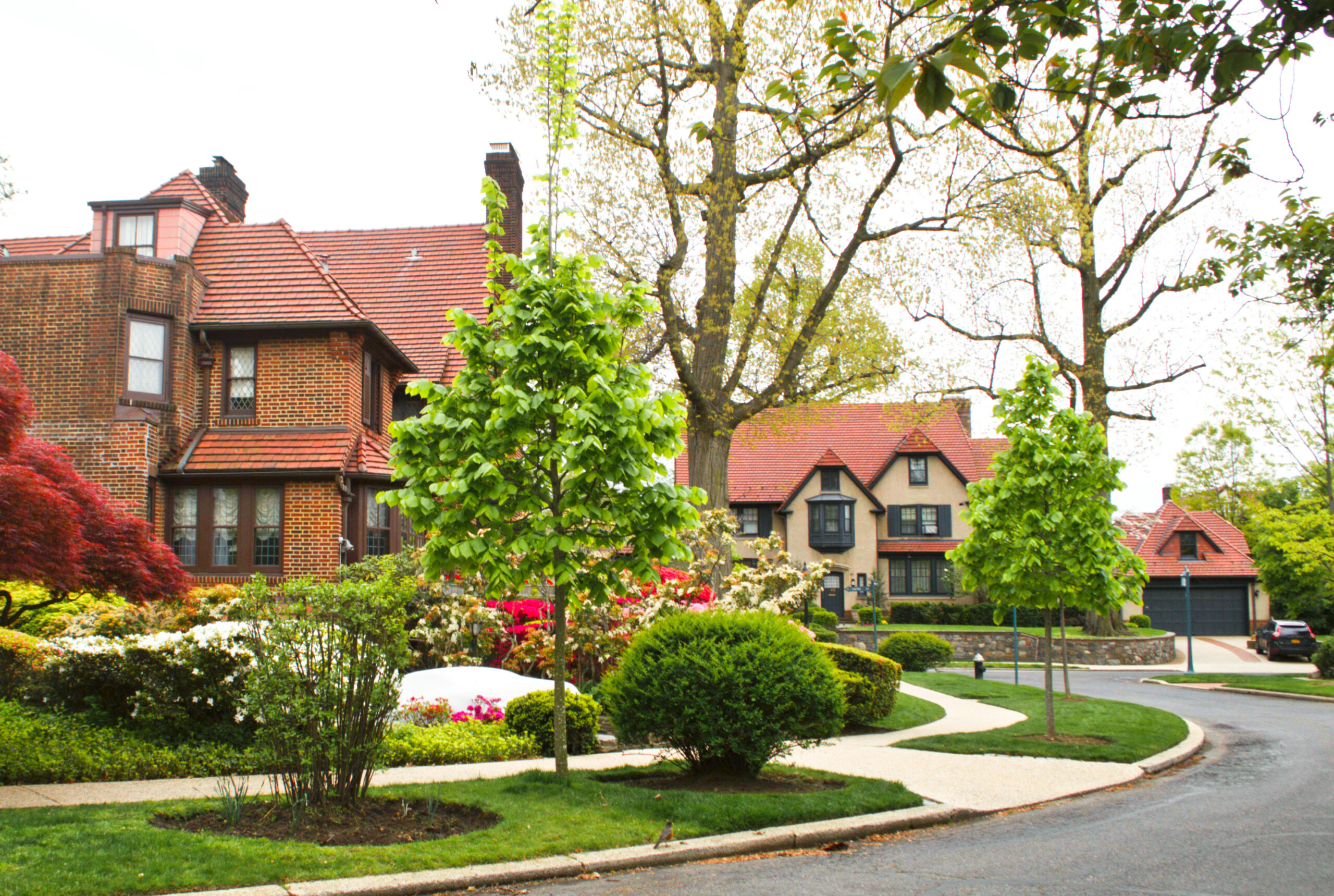 Forest Hills