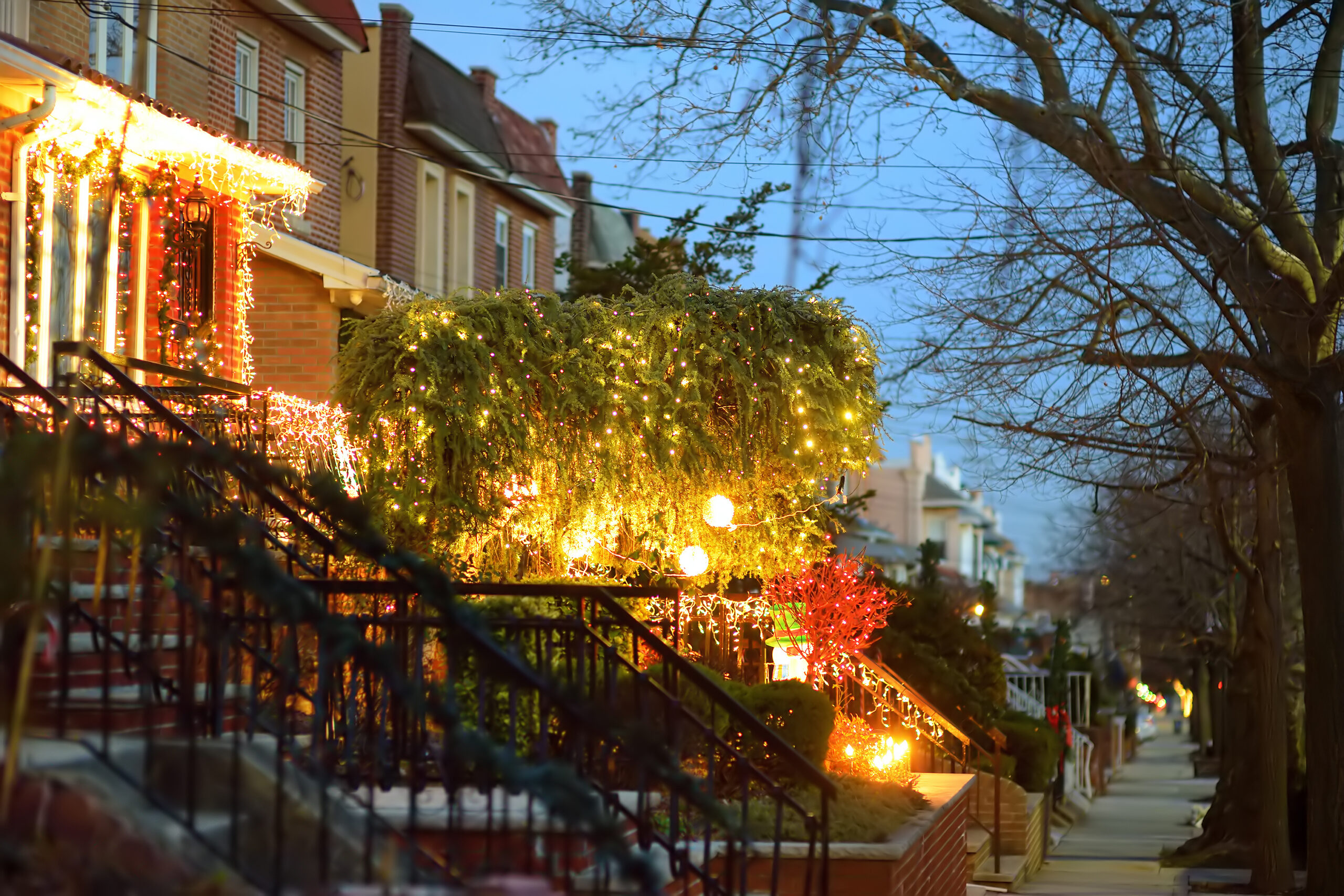 Dyker Heights
