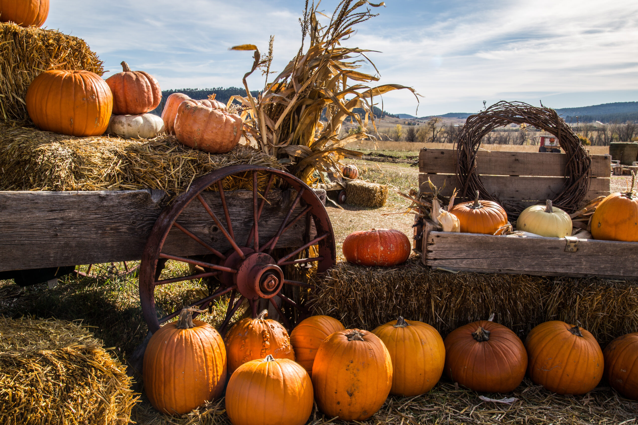 Core Memories: Homes Near Orchards, Cider Mills & Fall Farm Fun