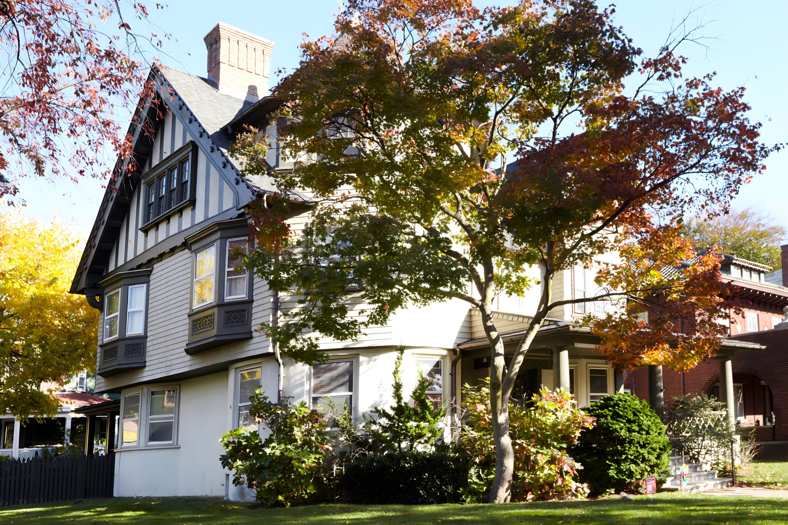 Ditmas Park