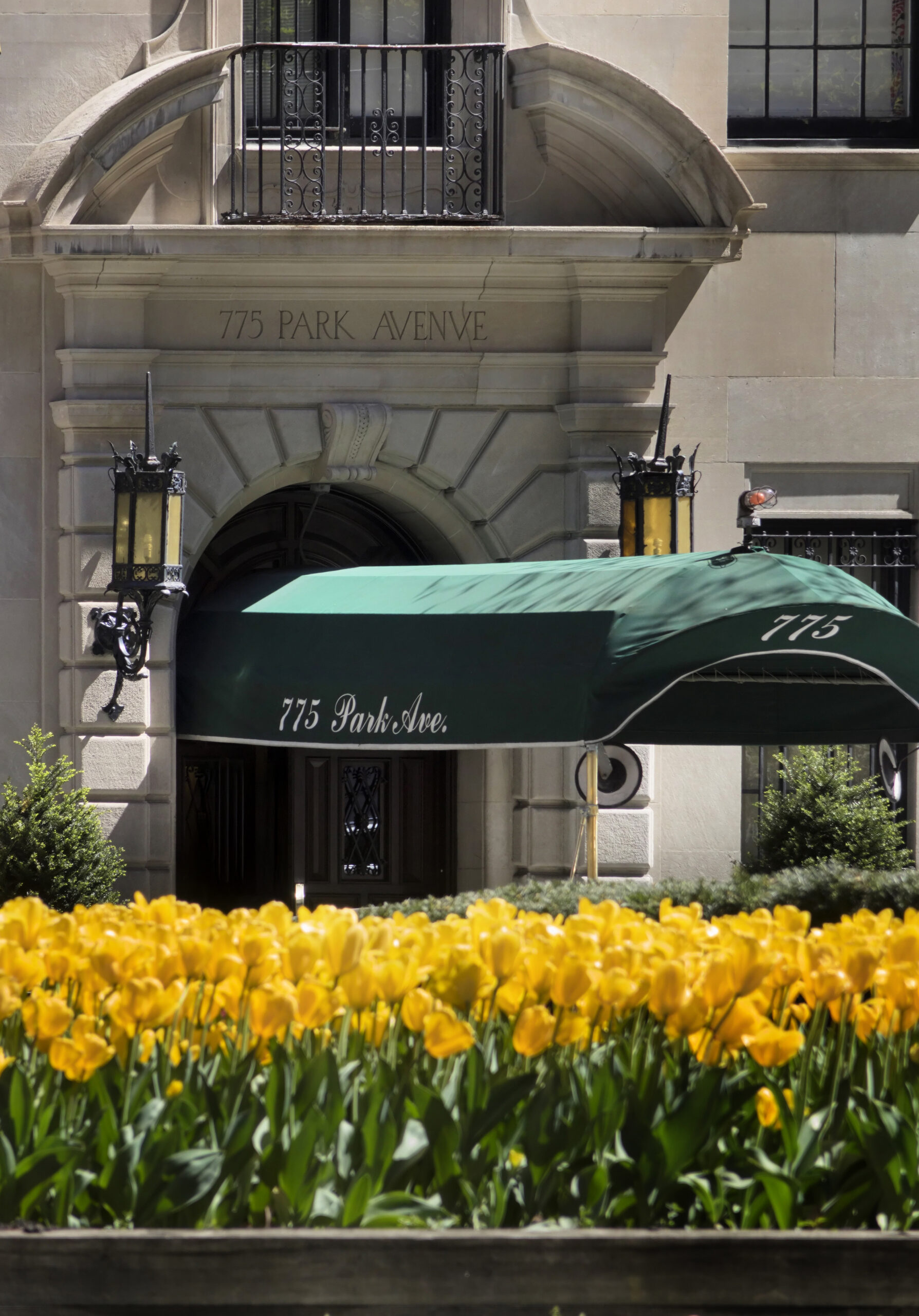 775 Park Avenue
