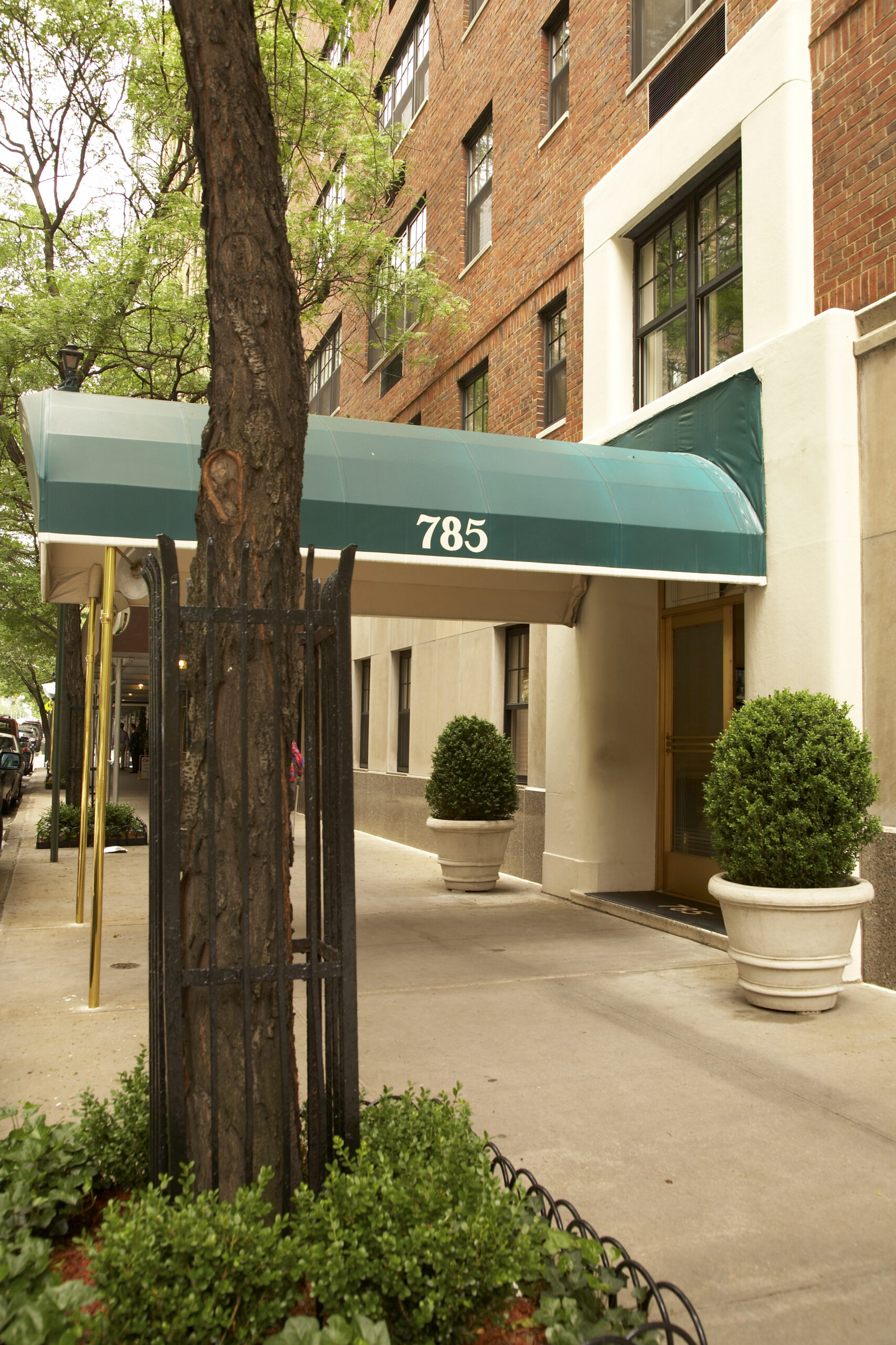 785 Park Avenue