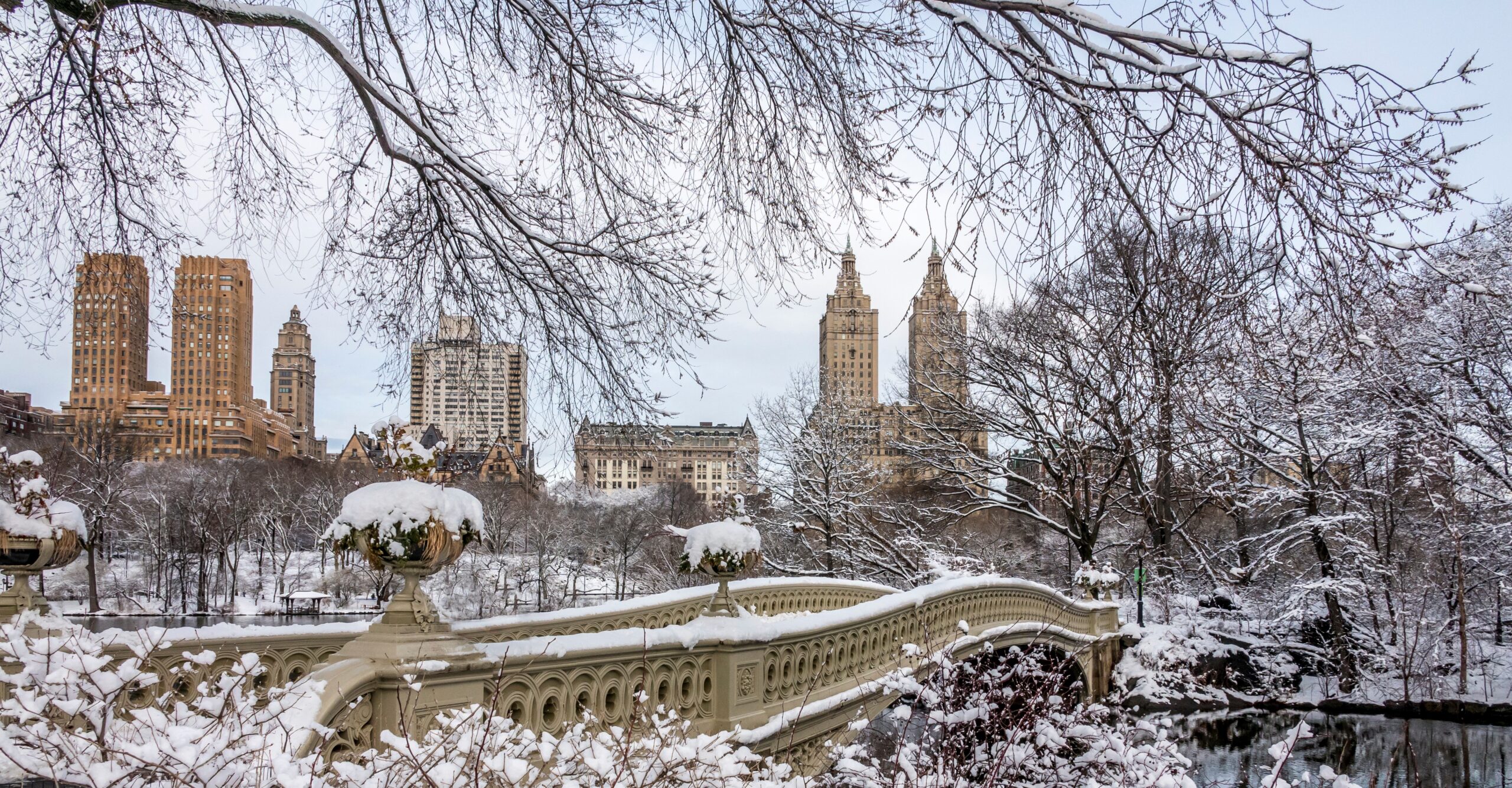 Reflections on 2025: City Lights, Neighborhood Stories, and Looking Ahead