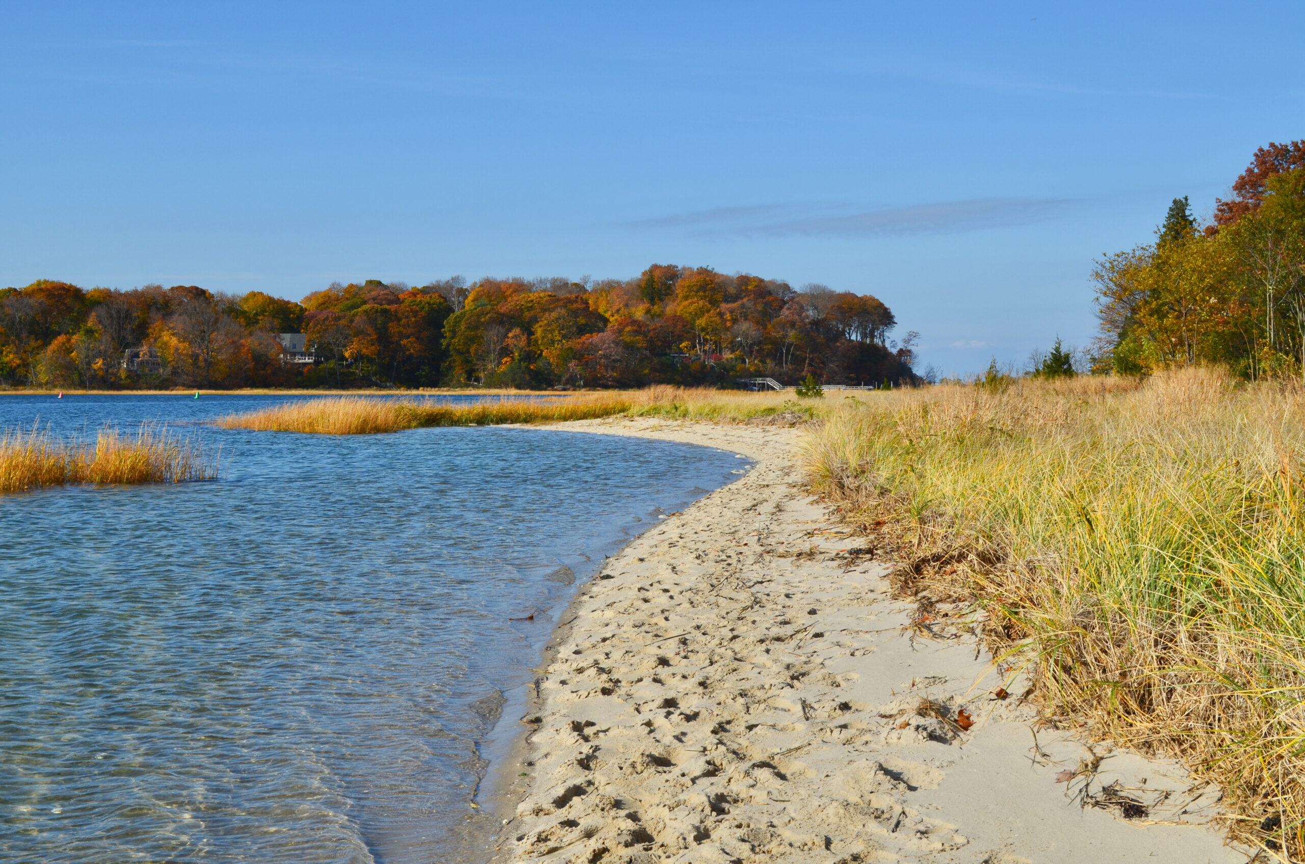Mattituck