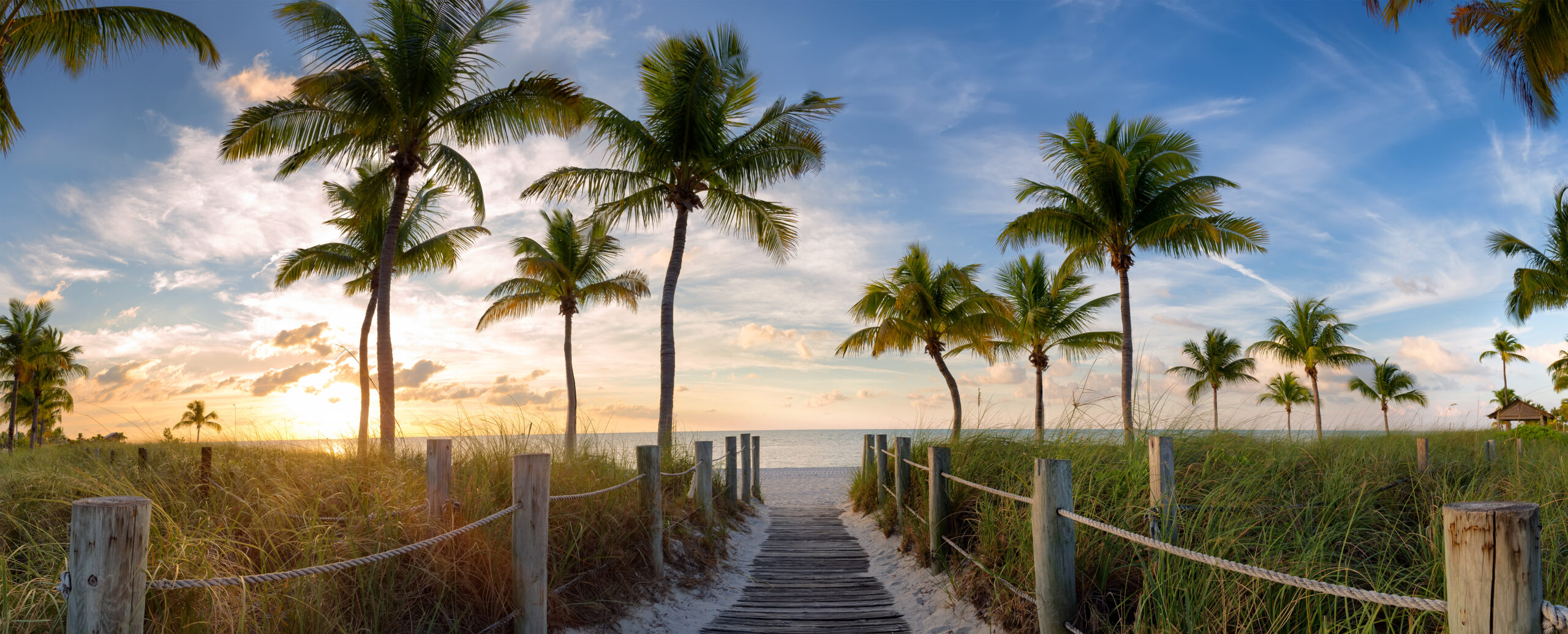 Inside the Palm Beach Market: A 2026 Forecast