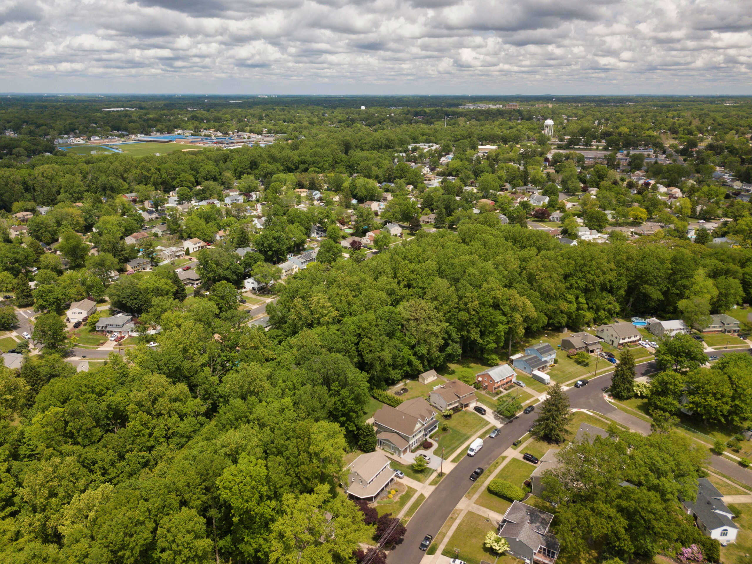 Cedar Grove