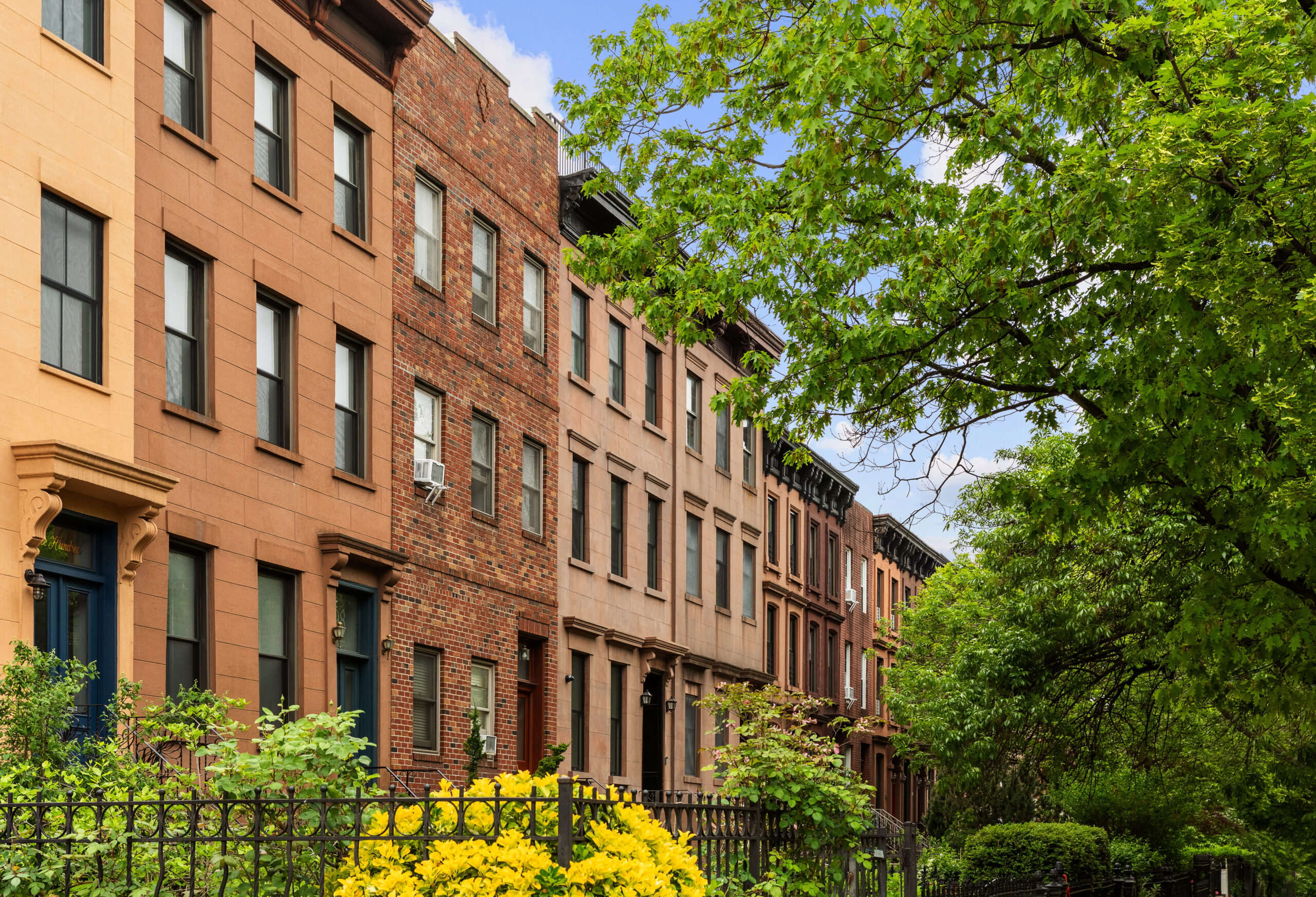 Carroll Gardens