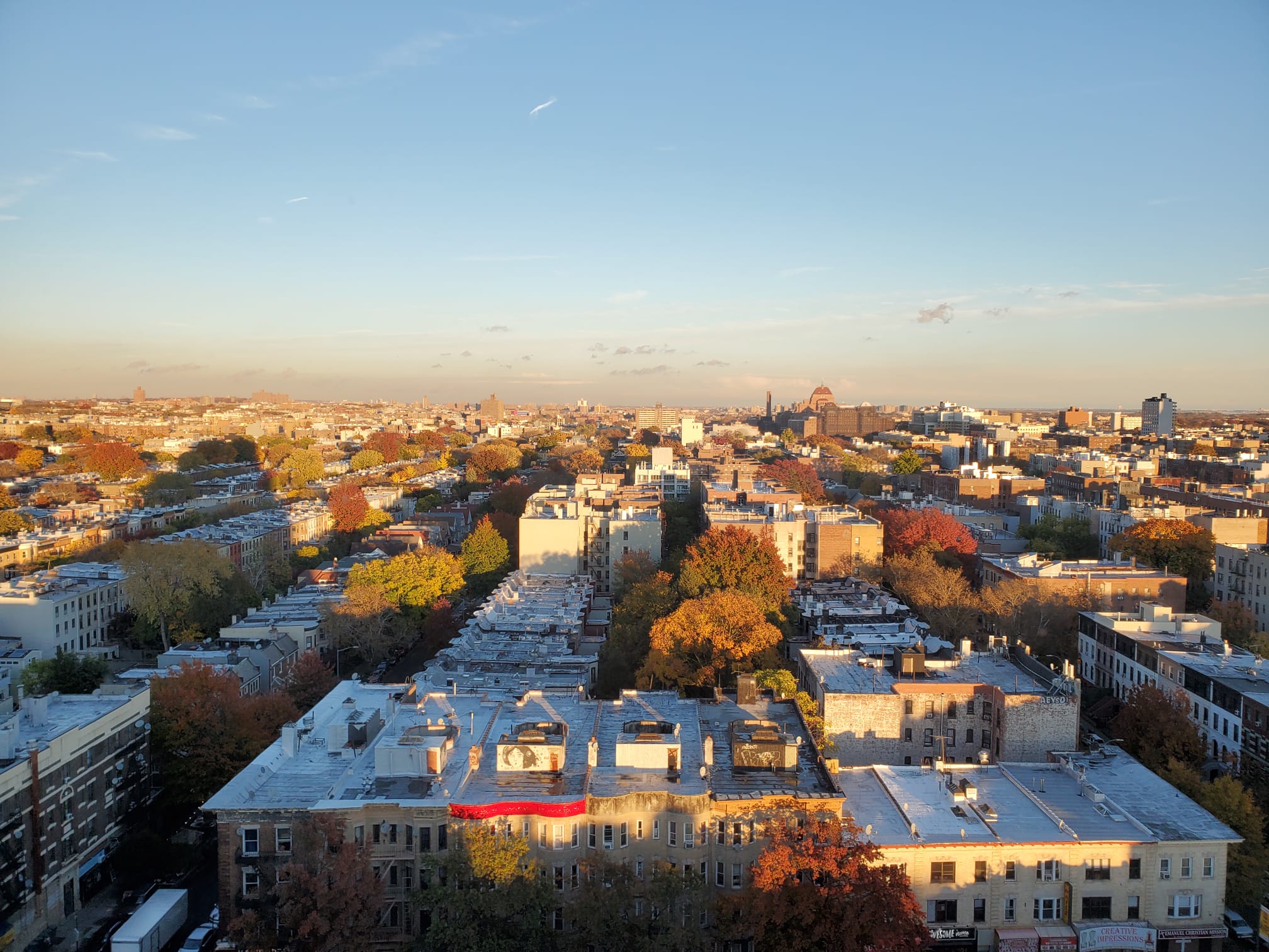Prospect Lefferts Gardens