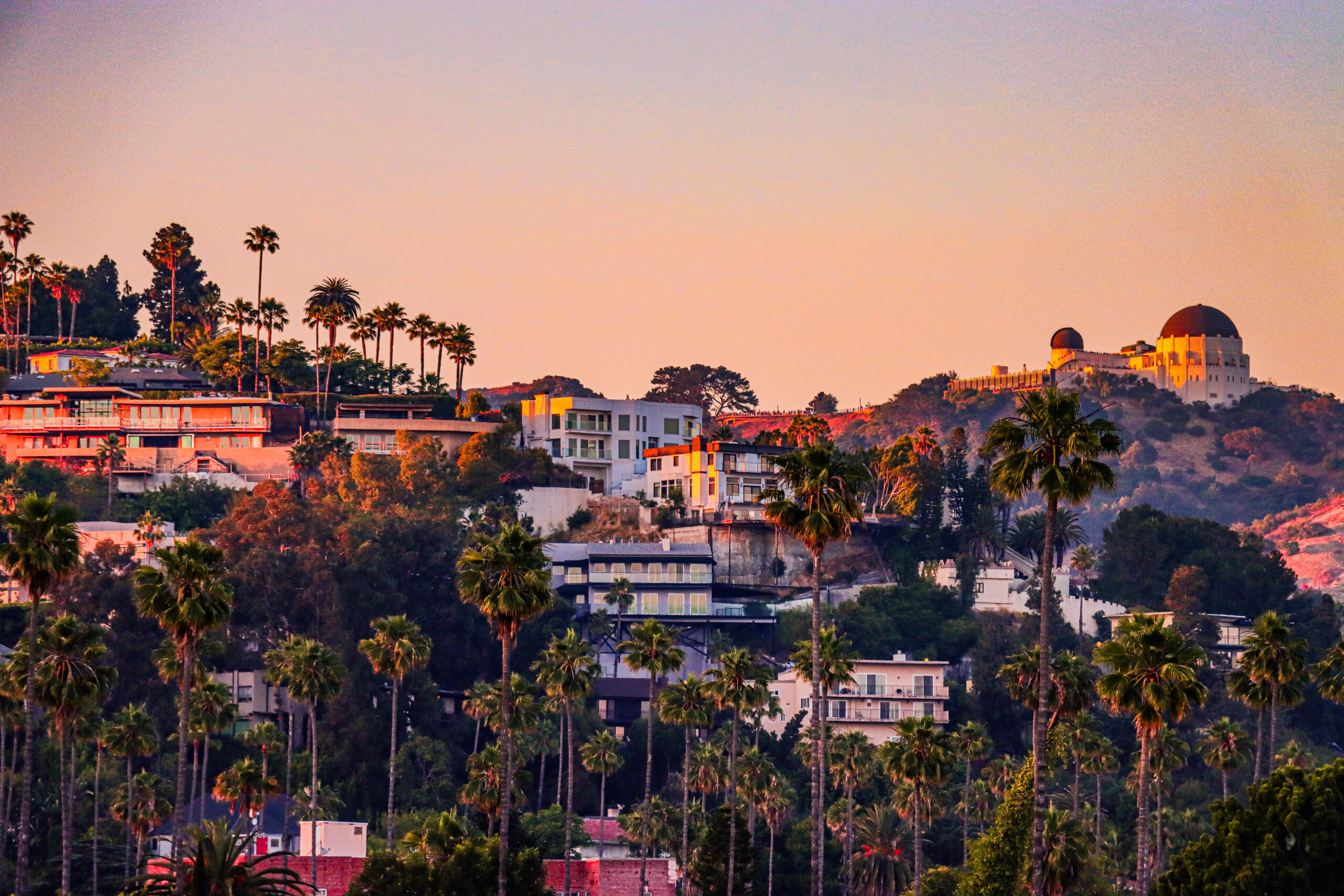 Hollywood Hills